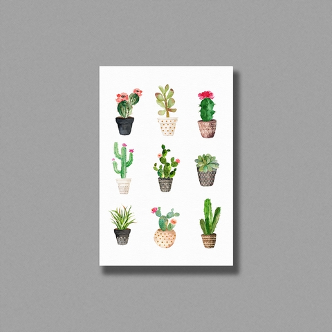 Tranh Cactus flower watercolor