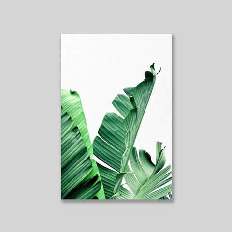 Tranh Banana leaves 01