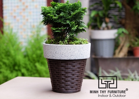 Chậu trồng cây nhựa thông minh giả mây cao cấp từ Minh Thy Furniture