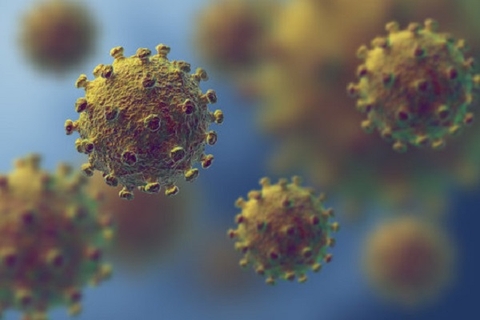 Coronavirus lây lan nhanh chóng và hơn 10% trường hợp lây nhiễm từ người mắc Covid-19 chưa có triệu chứng