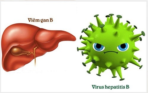 Kiến thức cơ bản và ngắn gọn về Viêm gan B