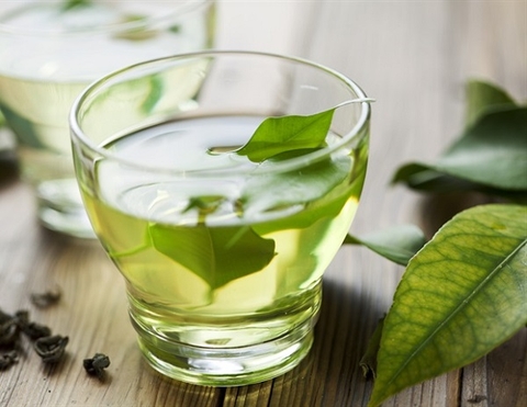 Chiết xuất trà xanh kết hợp với việc tập thể dục làm giảm bệnh gan nhiễm mỡ