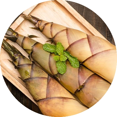 Các nhà khoa học đang xem xét lại vai trò của tre như một loại siêu thực phẩm mới đầy tiềm năng