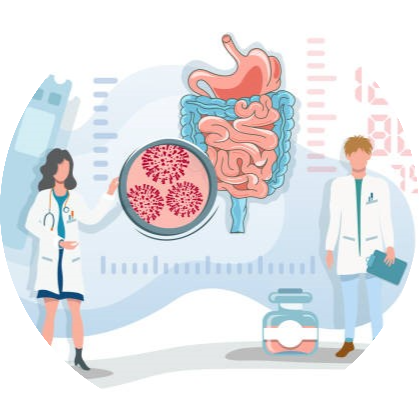 Vi khuẩn đường ruột ảnh hưởng đến quá trình lão hóa của mạch máu