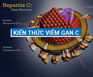 Kiến thức cơ bản và ngắn gọn về Viêm gan C