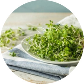 Mầm bông cải xanh giàu chất chống oxy hóa hỗ trợ sức khỏe đường ruột và giảm viêm