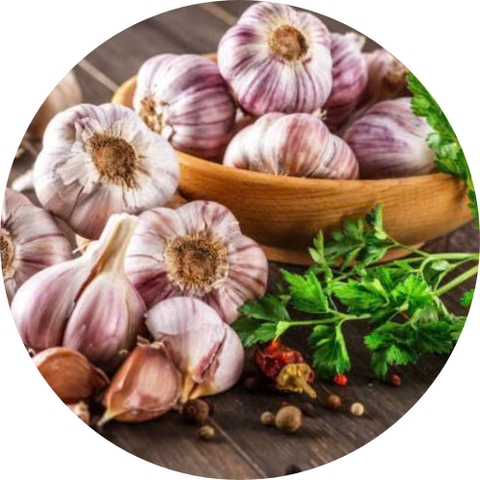 Ăn tỏi có thể giúp cải thiện cholesterol, lượng đường trong máu