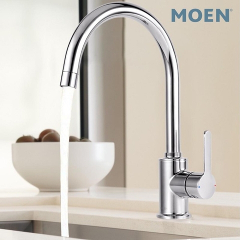 Vòi rửa chén nóng lạnh MOEN 70111