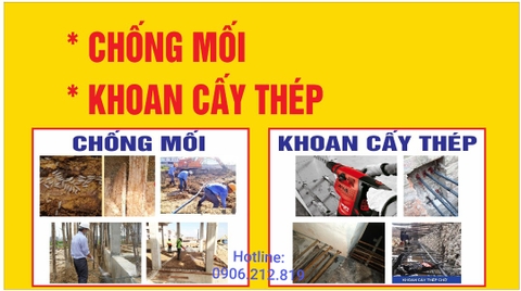 PHÒNG, CHỐNG MỐI CÔNG TRÌNH