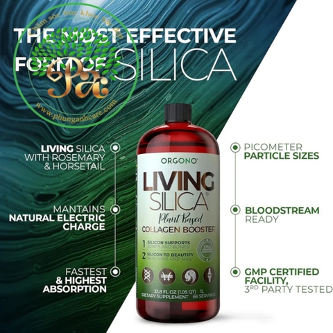 Collagen Tảo sống Sillica 100% Vegan nhập nguyên từ USA