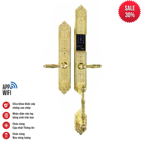 Khóa điện tử FS 009-24K