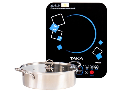 Bếp từ đơn Taka TK E995