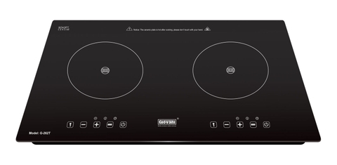 Bếp từ Giovani G 262T