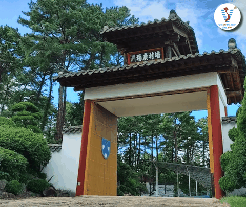 Đại Học Paichai Hàn Quốc – Cái Nôi Đào Tạo Tiếng Hàn Dành Cho Du Học Sinh Quốc Tế