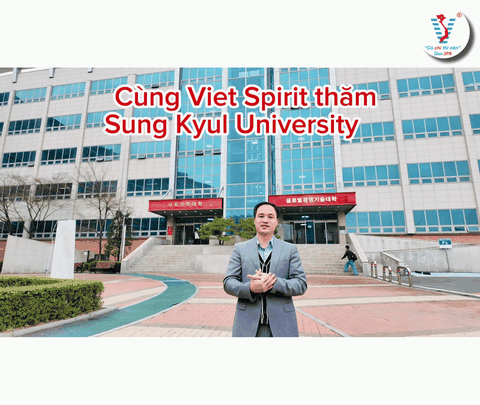 Sung Kyul University 2026 – Trường Top 1 Đáng Chú Ý Dành Cho Du Học Sinh Hàn Quốc