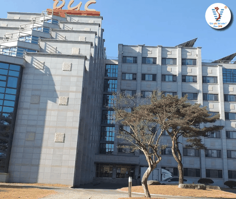 Daewon University College – Hơn 8 Năm Đồng Hành Cùng Viet Spirit Trên Hành Trình Du Học Hàn Quốc