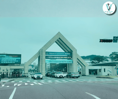 Dongkang College 2026 – Trường Cao Đẳng Top 3 Tại Gwangju Với Nhiều Lợi Thế Dành Cho Du Học Sinh Quốc Tế