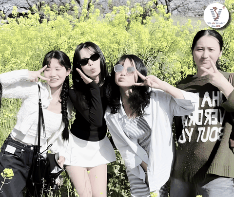 Một Ngày Khám Phá Jeju Cùng Học Viên Viet Spirit – Từ Hoa Anh Đào Đến Đảo Udo Xinh Đẹp