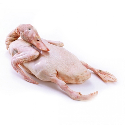 Vịt To Có Đầu 2.2-2.5Kg
