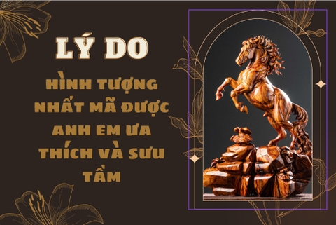 Tại sao 