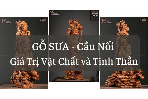 GỖ SƯA - Cầu Nối giữa Giá Trị Vật Chất và Giá Trị Tinh Thần