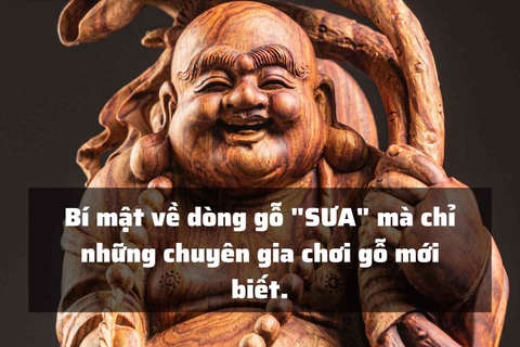 Bí mật về dòng gỗ vương mộc mà ít người biết đến gỗ 