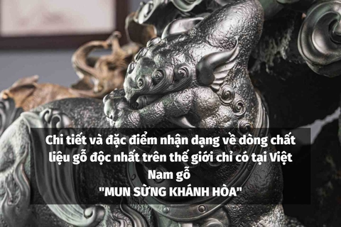 Chi tiết và đặc điểm nhận dạng về dòng chất liệu gỗ độc nhất trên thế giới chỉ có tại Việt Nam gỗ 
