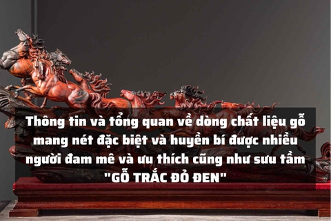 Thông tin và tổng quan về dòng chất liệu gỗ mang nét đặc biệt và huyền bí được nhiều người đam mê và ưu thích cũng như sưu tầm 