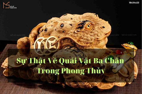 Ý Nghĩa Về Linh Vật Thiềm Thừ Trong Phong Thủy Và Lợi Ích