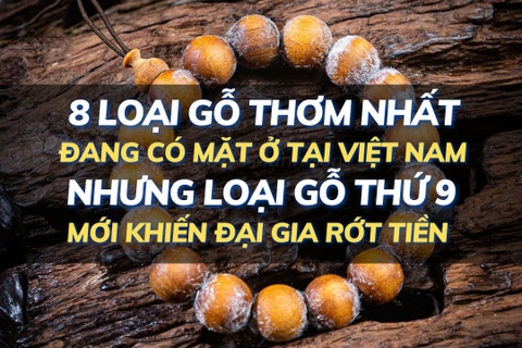8 loại gỗ thơm nhất đang có mặt ở tại Việt Nam, nhưng loại gỗ thứ 9 mới khiến đại gia rớt tiền. 