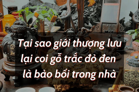 TẠI SAO GIỚI THƯỢNG LƯU LẠI COI GỖ TRẮC ĐỎ ĐEN LÀ BẢO BỐI TRONG NHÀ?