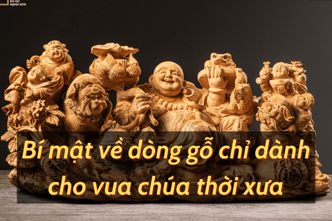BÍ MẬT VỀ DÒNG GỖ CHỈ DÀNH CHO VUA CHÚA THỜI XƯA