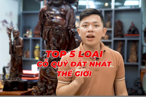  Top 5 loại gỗ quý đắt nhất thế giới, riêng loại gỗ cuối tỷ phú Việt Nam chưa chắc đã mua nổi.