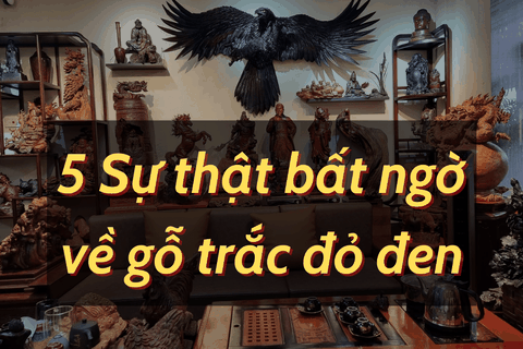 5 SỰ THẬT BẤT NGỜ VỀ GỖ TRẮC MÀ BẠN SẼ KHÔNG TÌM THẤY Ở BẤT CỨ NƠI ĐÂU