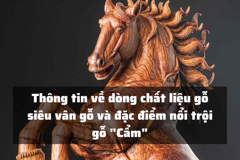 Thông tin về dòng chất liệu gỗ siêu vân gỗ và đặc điểm nổi trội gỗ 
