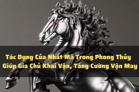 Tác Dụng Của Nhất Mã Trong Phong Thủy - Giúp Gia Chủ Khai Vận, Tăng Cường Vận May