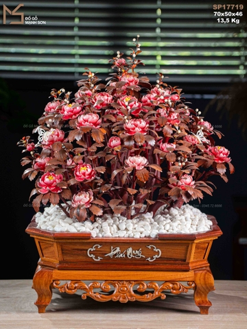 CHẬU HOA SƯA ỐC - GỖ SƯA