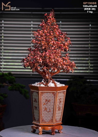 CHẬU HOA - GỖ SƯA