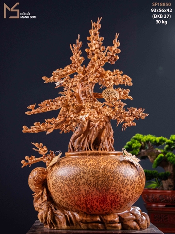 TƯỢNG GỖ BÌNH MAI BONSAI - GỖ NU NGỌC AM