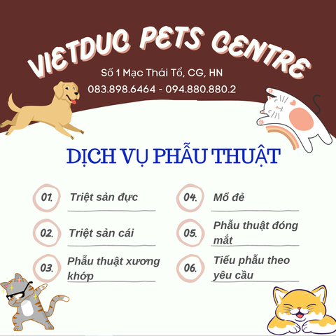 DỊCH VỤ PHẪU THUẬT