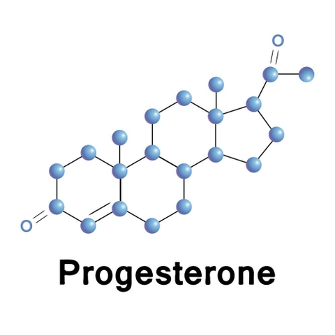 Kiểm tra hormon sinh sản Progesterone, trả lời chính xác ngày rụng trứng, phối giống ở chó