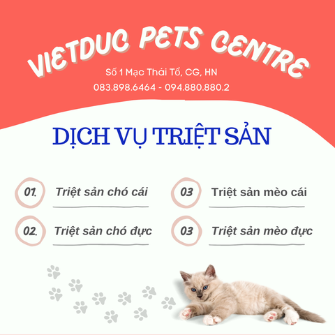 DỊCH VỤ TRIỆT SẢN