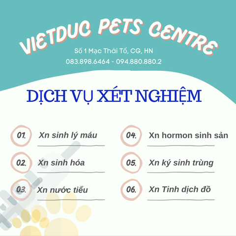 Dịch vụ xét nghiệm tại VietDuc Pets Centre