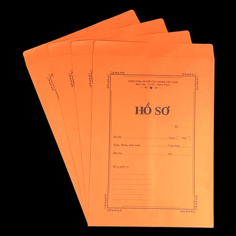 Bao HSXV vàng NY 25x35cm 100gms 4 cái A4