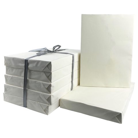 Giấy Bãi Bằng 210x297mm 60gsm 460 tờ A4