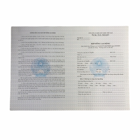 Hợp đồng lao động NY (100/1000)