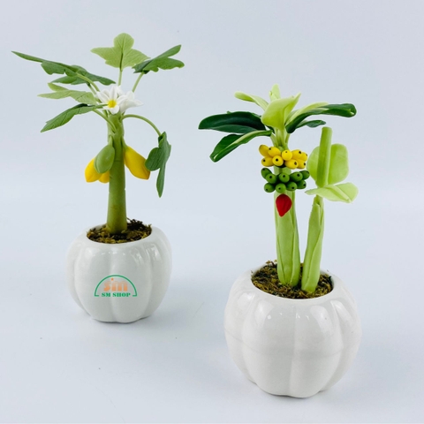 Chậu cây ăn trái đất sét 431479