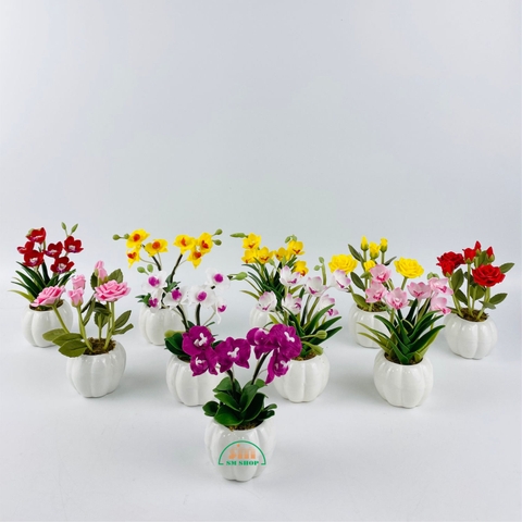 Chậu hoa đất sét 452789