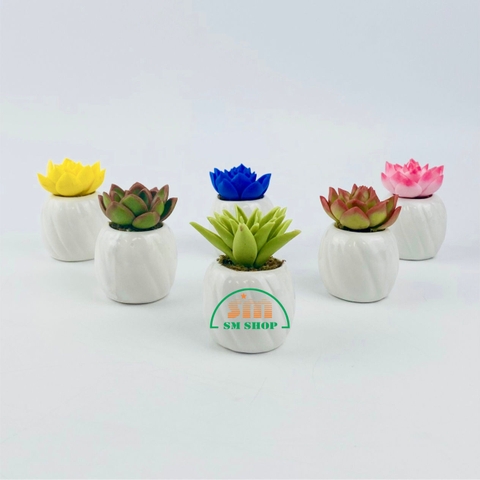 Chậu sen đá đất sét 426399