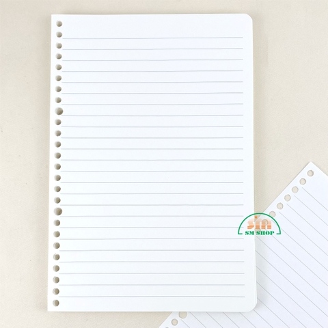 Ruột sổ lò xo 17.2x25.2cm B5